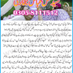 Taweez For Love